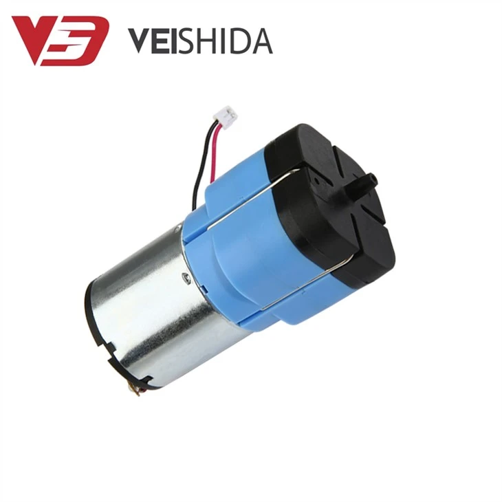 Vacuum Pump For Rechargeable Spray Gun